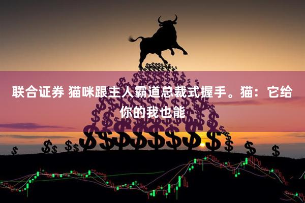 联合证券 猫咪跟主人霸道总裁式握手。猫：它给你的我也能