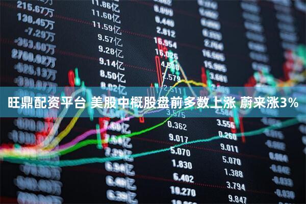 旺鼎配资平台 美股中概股盘前多数上涨 蔚来涨3%