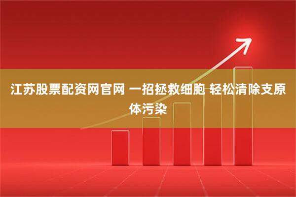 江苏股票配资网官网 一招拯救细胞 轻松清除支原体污染